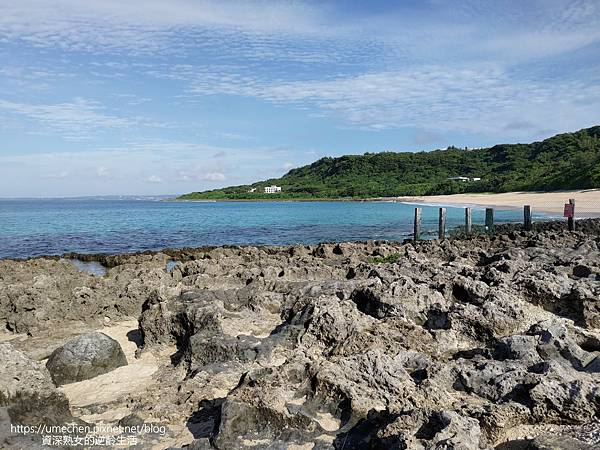 P_20220828_075818.jpg P_20220828_075818.jpg