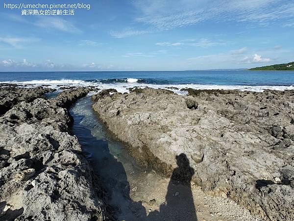 P_20220828_080411_1.jpg P_20220828_080411_1.jpg