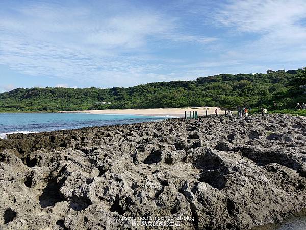 P_20220828_080441.jpg P_20220828_080441.jpg