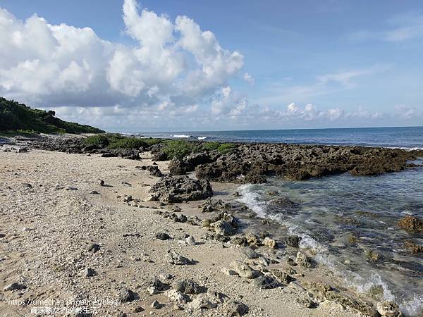 P_20220828_080601.jpg P_20220828_080601.jpg