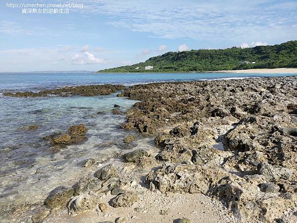 P_20220828_080613.jpg P_20220828_080613.jpg