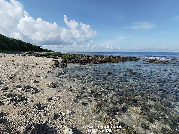 P_20220828_080639.jpg P_20220828_080639.jpg