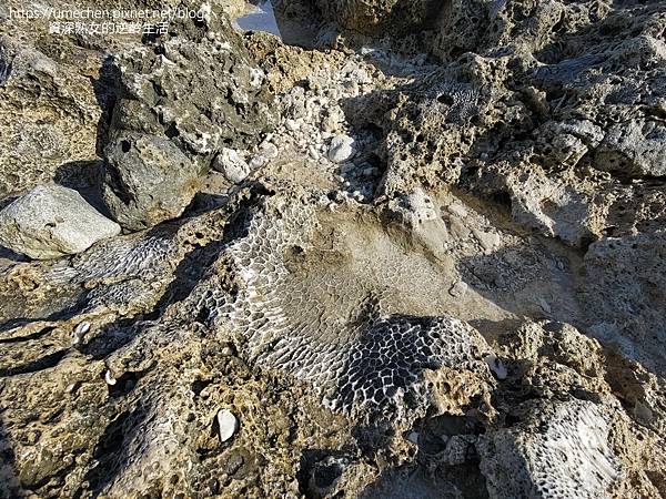 P_20220828_080655.jpg P_20220828_080655.jpg