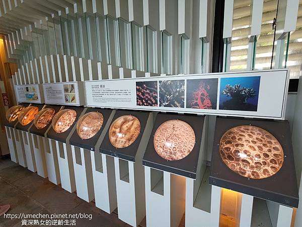 P_20220828_081134.jpg P_20220828_081134.jpg