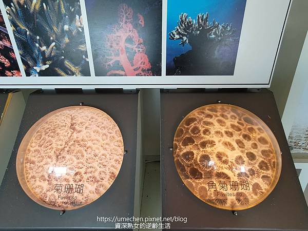 P_20220828_081145.jpg P_20220828_081145.jpg