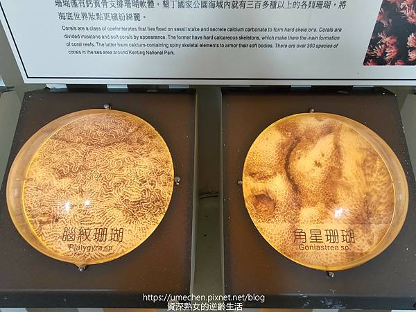 P_20220828_081153.jpg P_20220828_081153.jpg