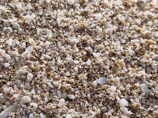 P_20220828_081233.jpg P_20220828_081233.jpg