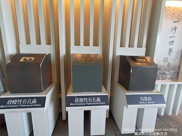 P_20220828_081258.jpg P_20220828_081258.jpg