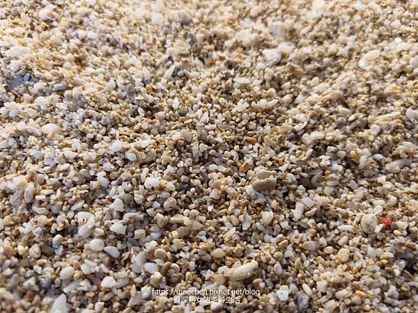 P_20220828_081340.jpg P_20220828_081340.jpg