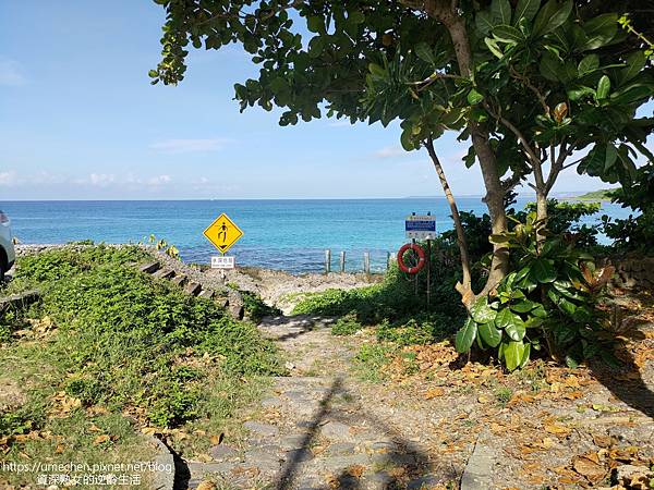 P_20220828_081831.jpg P_20220828_081831.jpg