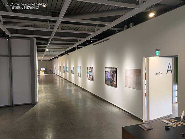 P_20220619_125752.jpg P_20220619_125752.jpg