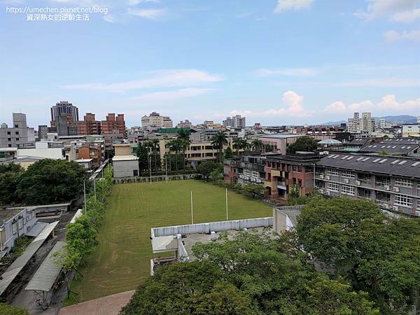 P_20220619_130131.jpg P_20220619_130131.jpg