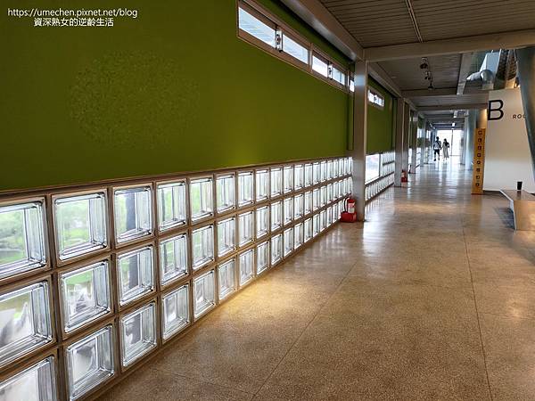 P_20220619_130300.jpg P_20220619_130300.jpg