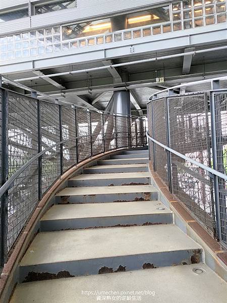 P_20220619_130528.jpg P_20220619_130528.jpg