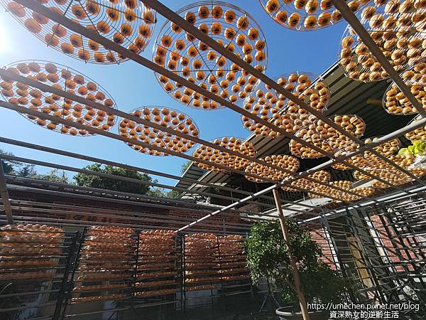 P_20221028_133221_1.jpg P_20221028_133221_1.jpg