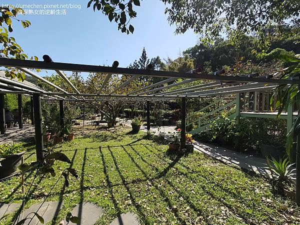 P_20221028_133153.jpg P_20221028_133153.jpg