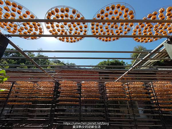 P_20221028_133228.jpg P_20221028_133228.jpg