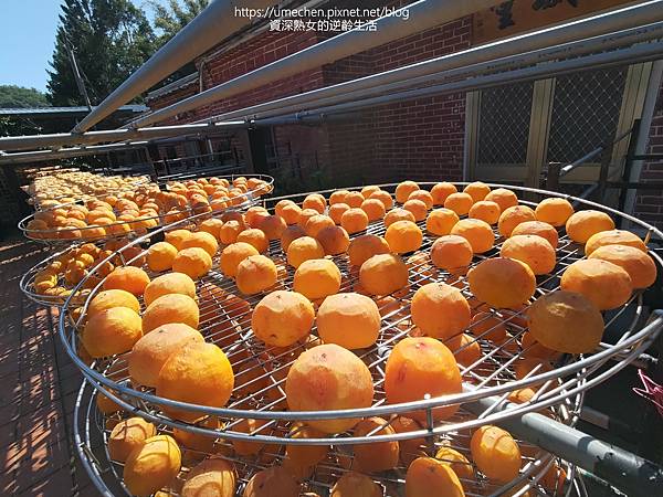 P_20221028_133256.jpg P_20221028_133256.jpg