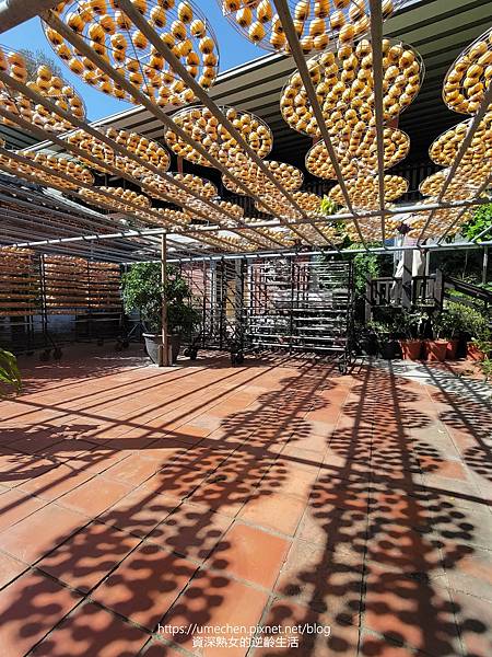 P_20221028_133244.jpg P_20221028_133244.jpg