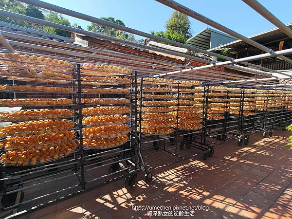 P_20221028_133332.jpg P_20221028_133332.jpg