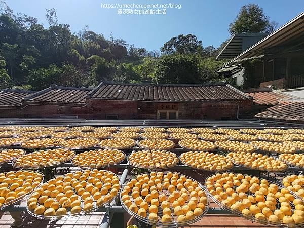 P_20221028_133401.jpg P_20221028_133401.jpg