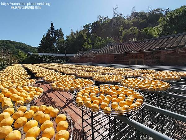 P_20221028_133629.jpg P_20221028_133629.jpg