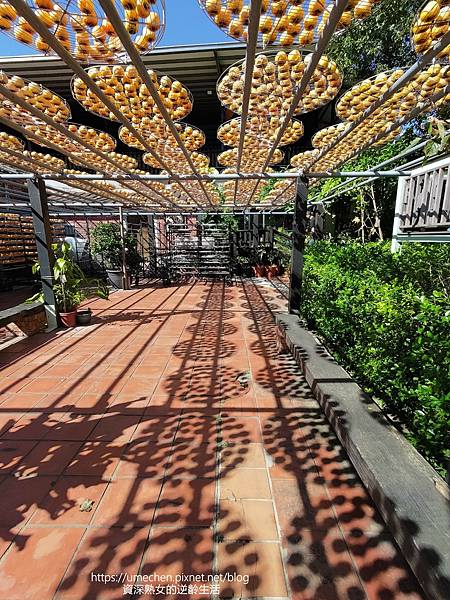 P_20221028_133704.jpg P_20221028_133704.jpg