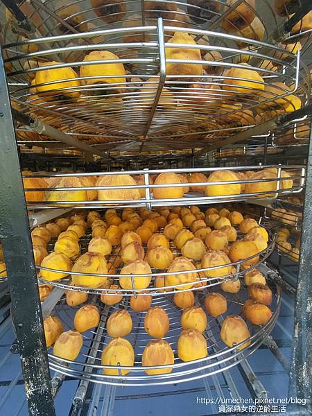 P_20221028_133733.jpg P_20221028_133733.jpg