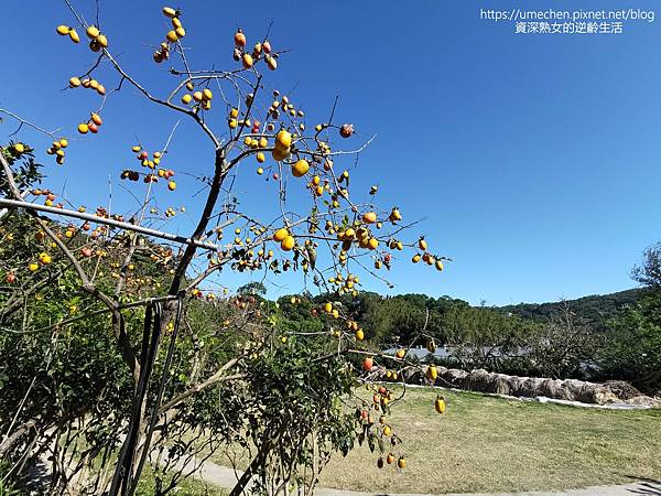 P_20221028_140722.jpg P_20221028_140722.jpg