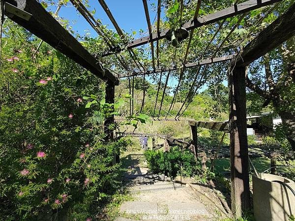 P_20221028_140759.jpg P_20221028_140759.jpg