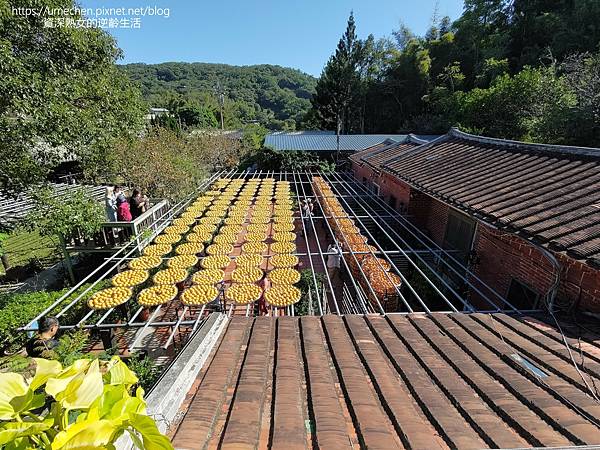 P_20221028_140903.jpg P_20221028_140903.jpg