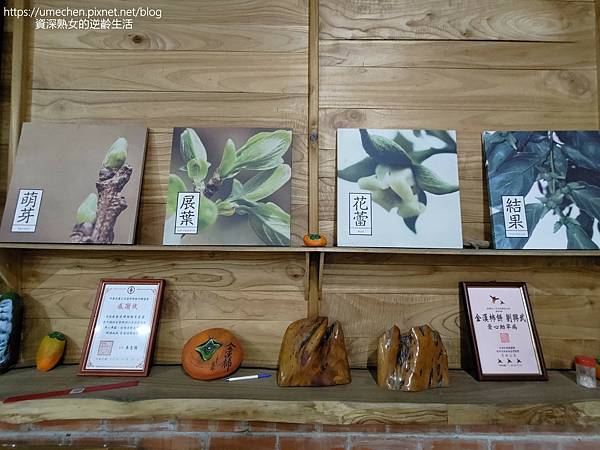 P_20221028_141054.jpg P_20221028_141054.jpg