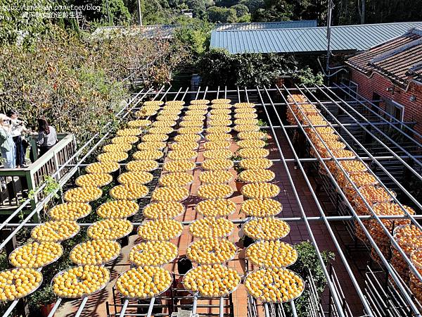 P_20221028_140915.jpg P_20221028_140915.jpg