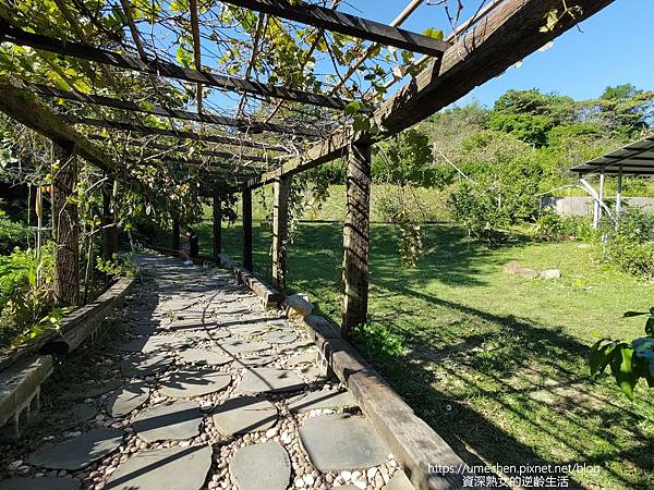 P_20221028_140831.jpg P_20221028_140831.jpg