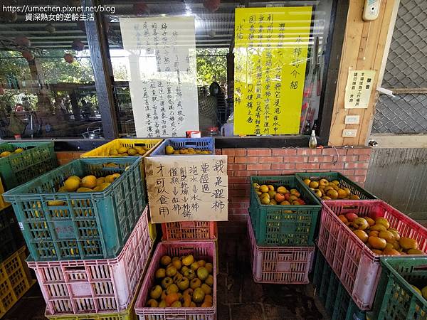 P_20221028_141514.jpg P_20221028_141514.jpg