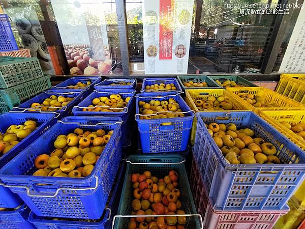 P_20221028_141522.jpg P_20221028_141522.jpg