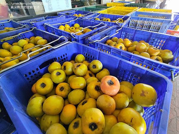 P_20221028_141529.jpg P_20221028_141529.jpg