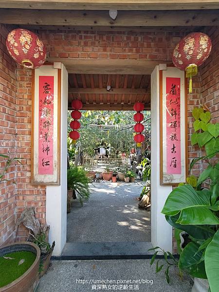 P_20221028_141930.jpg P_20221028_141930.jpg