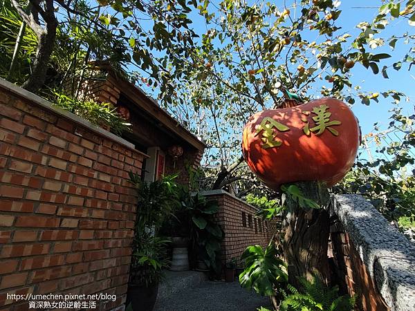 P_20221028_141922.jpg P_20221028_141922.jpg