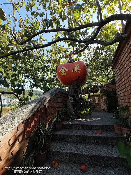 P_20221028_142105.jpg P_20221028_142105.jpg