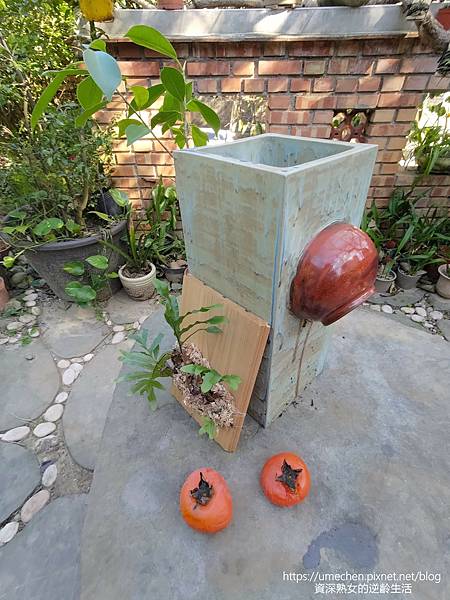 P_20221028_142138.jpg P_20221028_142138.jpg