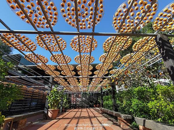 P_20221028_142923.jpg P_20221028_142923.jpg