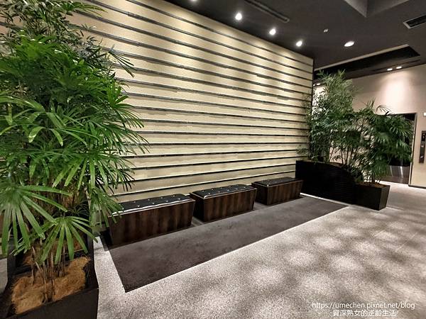 P_20230317_195006.jpg P_20230317_195006.jpg