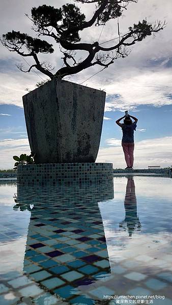 P_20230611_082017.jpg P_20230611_082017.jpg