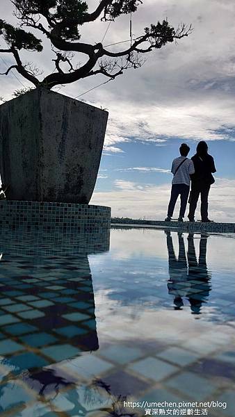 P_20230611_082013.jpg P_20230611_082013.jpg