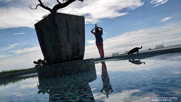 P_20230611_082020.jpg P_20230611_082020.jpg