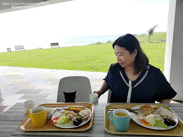 P_20230611_083849.jpg P_20230611_083849.jpg