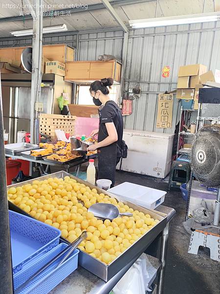 P_20230624_144613.jpg P_20230624_144613.jpg