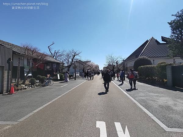 【日本犬山市】城下町：犬山老街散步，4條巷弄美食｜昭和橫丁復