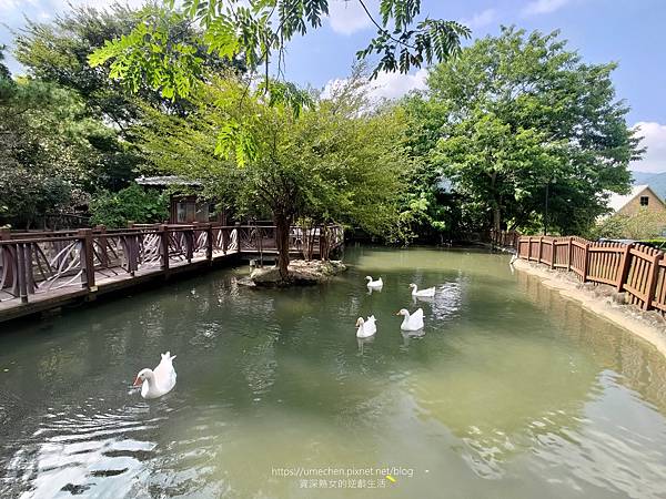 【苗栗大湖】巧克力雲莊：綠意盎然的美麗城堡，觀光工廠參觀、享